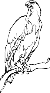 5 out of 5 stars. Pin On Animal Coloring Pages