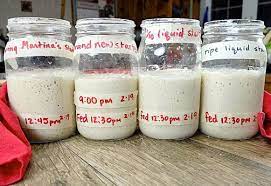 Sourdough Starter Troubleshooting Flourish King Arthur Flour Sourdough Starter Bread Starter Sourdough Starter Recipe