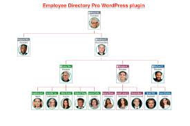 Enterprise Wordpress Managing Organizational Reporting