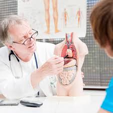 Check your english vocabulary for medicine is a workbook designed to help learners of english improve their knowledge an. What Makes A Good Doctor 7 Useful Physician Skills