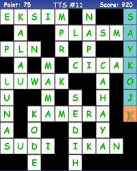 Kunci Jawaban Tts 11