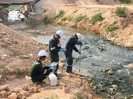 Data pengeluaran sgp hari ini diatas dicatat sejak tahun 2019 hingga 2020. Pasir Gudang S Sungai Kim Kim Now Clean Safe Environment Minister Cna