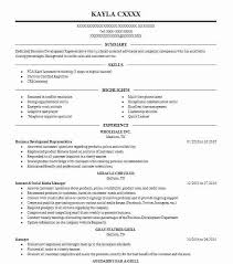 wholesale representative resume