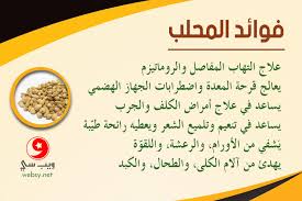 فـوائد المـحلب الخيالية لعلاج الأمراض وماهو دوره في شفاء الأورام الرعشة واللقوة ويب سي