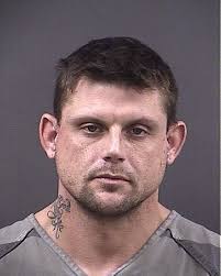 Driver charged with five felonies after traffic stop