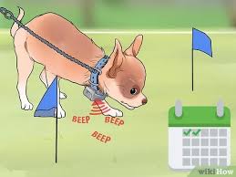 Underground dog fences are mostly used to keep a dog from running away, but they can also be used to prevent your dog from entering areas you don't want it to. 3 Ways To Install An Underground Dog Fence Wikihow