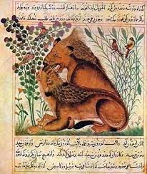 The colt stands alone and cries for its mother. File Manafe Jpg South Asian Art Bestiary Islamic Art