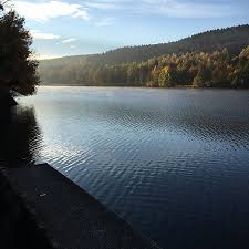 Der kronenburger see mit einer wasserfläche von rund 27 ha liegt im ortsteil kronenburg südlich der gemeinde dahlem. Die Top 10 Aktivitaten Nahe Roompot Vakanties Eifelpark Kronenburger See Dahlem Tripadvisor