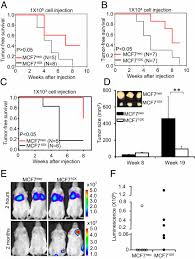 This page tells you about how cancer starts. Sod2 Acetylation On Lysine 68 Promotes Stem Cell Reprogramming In Breast Cancer Pnas