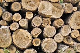 It is also referred to as tiger stripe and ripple. 5 Tips To Drying Firewood