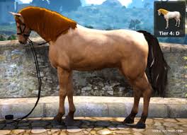 Horse supply seal approved by the imperial court. Bdo Horse Catalog See What Horses Really Look Like Violet Astray