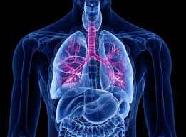 Image result for lung cancer xray