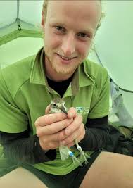 Man leading bird rescue efforts