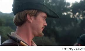 Mrw I See Robin Hood Men In Tights Is Now On Netflix Just After I Torrented It Meme Guy