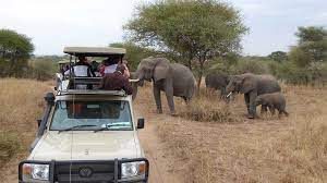 See the latest across tanzania expeditions reviews Best Tanzania Safari Companies The Best Tour Operators In Tanzania