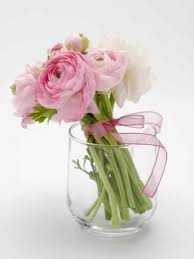 Fruhlingsblumen Fruhlingsblumen Bilder Fruhlingsblumen Und Fruhling