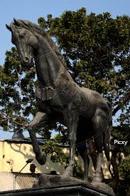 The Spirit of Kala Ghoda-XB806970-Picxy