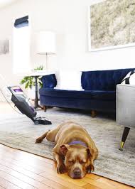 Bissell Crosswave Pet Pro Reviews The Cleaning Tool That Changed Everything In Our House Full Of Pets A Giveaway Pets Cleaning Tools Brick