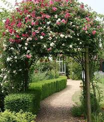 Garten selbst gestalten ist gar nicht so kompliziert! Rosenbogen Bild 5 Living At Home