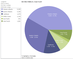 Pie Graphs The Leatherback Turtle The Endangered Project