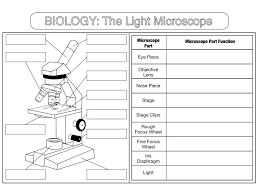 Biology Worksheet The Microscope Biology Worksheet Biology Biology Lessons