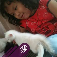 Bismillah Ready Chiken lava saos keju 12k Ay4m geprek + mie hot 12k Ay4m  geprek + nasi 10k Es teller uk. 22oz 10k Alpuket kocok 10rb Es teh manis  jumbo 3rb Piscok