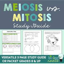 Mitosis and meiosis webquest answers key review is a very simple task. Cell Division Worksheets Teaching Resources Teachers Pay Teachers