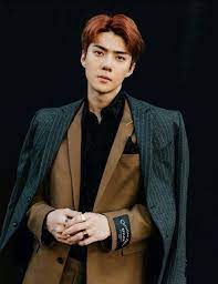 Discover more posts about sehun photoshoot. 13 Oh Sehun Ideas Sehun Exo Sehun Chanyeol