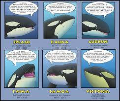 Pin On Blackish Captivity Endangerment Abuse