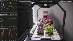 Check spelling or type a new query. Ikea Grow Light Test You Ll Be Surprised