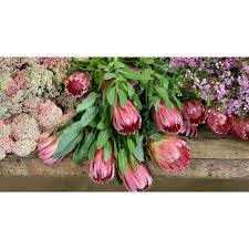Maybe you would like to learn more about one of these? San Diego Wholesale Florist Home Facebook