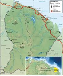 Image result for Malouetia mildbraedii