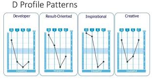 The leadership institute is an arm of the nacc designed to focus dominance, influence, steadiness, and compliance. Disc Assessment Impact On Communication And Understanding Of Self And Team Semantic Scholar