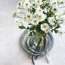 Florets Floral Quote On The Blog Flowers Double Feverfew Floral Quotes Seasonal Flowers Flowers