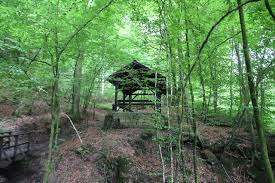 De mullerthal trail luxemburg is een prachtige lange afstand wandeling in drie lussen met veel charme. Mullerthal Trail Aktuelle 2021 Lohnt Es Sich Mit Fotos Tripadvisor