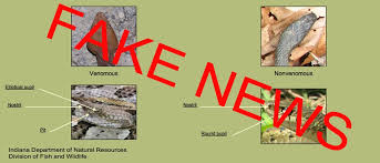 Fake Snake News How Not To Identify A Poisonous Snake