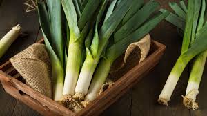 Lauch Kostliches Heilgemuse Lauch Heilpflanzen Pflanzen