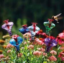 I plant flowers on my open front porch, and they'll come right up to my front door and peck. Glass Hummingbird Feeders On Stakes Glass Hummingbird Feeders Humming Bird Feeders Nectar Feeders