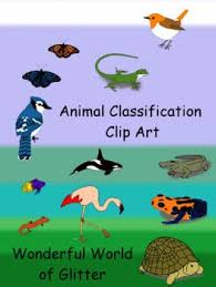Presenting Clip Art For Your Animal Classification Science Units I Created Many Different Animals Such As A Snail A Bu Animal Classification Clip Art Animals
