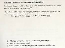 Dihybrid punnett square practice problems (continued) 3. Solved Dihybrid Punnett Square Practice Problems Problem Chegg Com