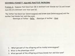 Includes worked examples of dihybrid crosses. Solved Dihybrid Punnett Square Practice Problems Problem Chegg Com