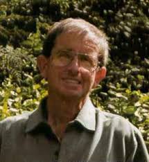 Ирисы в моем саду