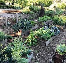 Pin By Osmers Garten Garten Und Lif On Gardening Vegetable Garden Raised Beds Garden Beds Vegetable Garden Design