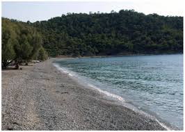 Δε θυμάμαι πόσες φορές την έσπρωξα. Paralies Sthn Salamina Infomust Gr
