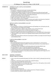 Your job description is the first touchpoint between your company and your new hire. Capital Management Analyst Resume Samples Velvet Jobs