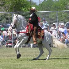 Azteca Horse Wikipedia