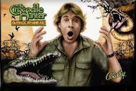 Pinside Game Archive » Wayne Gillard (person)