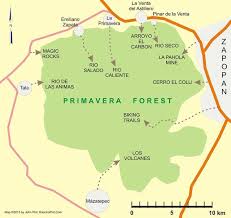 Además de la reforestación, es vital empezar por obras de conservación de suelo en los puntos donde sea más necesario de las zonas incendiadas, incluso, añadió que otra manera de apoyar es crear. A Brief Guide To Mexico S Primavera Forest Mexconnect