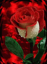 Https Encrypted Tbn0 Gstatic Com Images Q Tbn And9gctiszdqpjvybaemk3xfmzdgdsawjrz6d1bumg Usqp Cau
