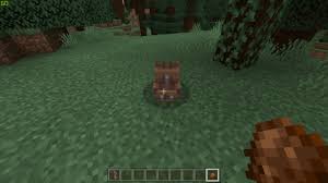 Minecraft is undoubtedly one of the most exciting games developed in. Top 12 Best Bedrock Minecraft Mods 2021